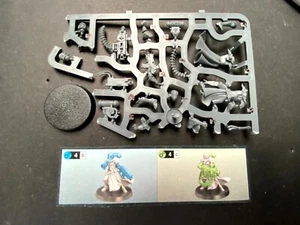 Warhammer 40k - Battle Sisters / Celestian / Dominion Squad - Battle Sister 2 - Picture 1 of 4