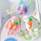 Plush Stuffed Easter Bunny Plush Keychains Animal Doll Keyring  Children Toys
