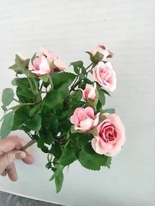 Mini rose bush arrangement silk flower arrangements PINK - Picture 1 of 7