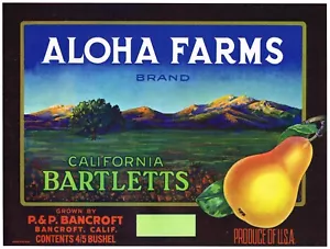 ETIQUETA DE CAJA ORIGINAL DE COLECCIÓN ALOHA FARMS BANCROFT PERA DE CALIFORNIA DÉCADA DE 1930 P&P - Imagen 1 de 1