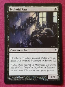 Magic The Gathering CONSPIRACY TYPHOID RATS black card MTG - Picture 1 of 2