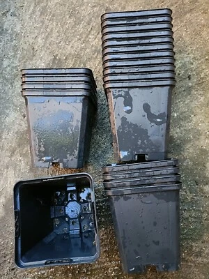 Vasi quadrati plastica colore nero  9x9x10 cm - usati in ottimo stato  50 pezzi - Image 1 of 3