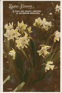 PC29232 Osterblumen. RP - Bild 1 von 2