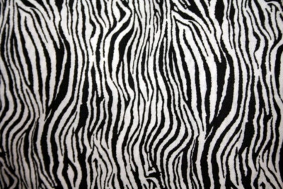 ANIMAL SKIN PRINTS - ZEBRA I - 100% COTTON FABRIC - Image 1 of 3