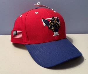 Vintage MLB Minor League TRENTON THUNDER Strapback Hat Red Twins Enterprise Otto - Picture 1 of 6