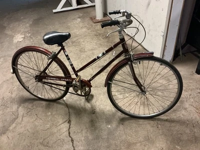 Columbia Sports III 复古女式 20 世纪 70 年代,完美作品,3 个 std Sturmey Archer, — 第 1/4 张图片