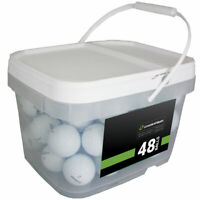 48 Titleist Pro V1 2019 Near Mint Quality Used Golf Balls AAAA In a Free Bucket!