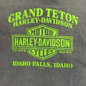 Harley Davidson T Shirt Gray/neon Green Large Men’s Long Sleeve Grand Teton - Picture 1 of 8