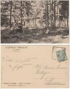 SURROUNDINGS OF LIVEMMO - PINE FOREST M. PASSELLO - BRESCIA - HOTEL PREALPI -11506- - Picture 1 of 1