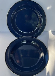 Discontinued Pottery Barn Enamelware Plate Blue 10”  Set x2 Metal Partyware NOS - Picture 1 of 7