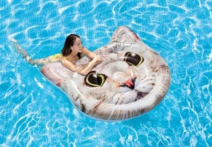 Intex Cat Face Curious Cat Island Floatie Floß Brandneu Riesig 51" x 54" - Bild 1 von 3