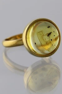 Fossil Insect Genuine BALTIC AMBER Gold Plated Silver Adjustable Ring 191029-9 - Picture 1 of 7
