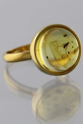 Anillo ajustable de plata chapado en oro ámbar báltico genuino insecto fósil 191029-9 Foto 1 de 4