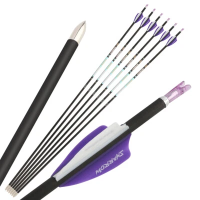 32" Archery Pure Carbon Arrows SP300-1000 Vanes .0001 Compound RecurveBow Target - Image 1 of 4