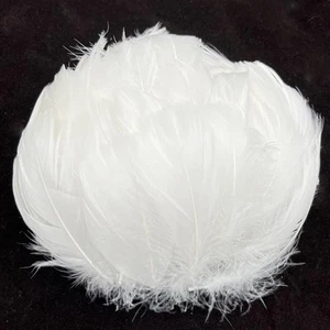 100 Stck. kleine weiße Gänsefedern 2-3 Zoll flauschige Federn für 2-3 Zoll - Bild 1 von 6