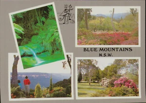 Blue Mountains NSW Postcard. Vintage 80s Old Gardens Multi View - Picture 1 of 2