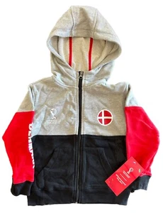 FIFA Licensed World Cup 2022 Qatar Team Denmark Hoodie Sweatshirt Small (4) Kids - Picture 1 of 4