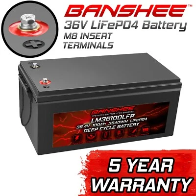 Batería de litio Banshee 36V 100Ah LiFePO4 - Carro de golf, motor de arrastre, autocaravana, solar Foto 1 de 4