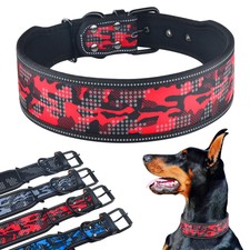 boy dog collars and leashes