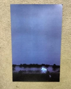 Daniel Ceasar -  Never Enough appx. 11" x 17" US promo poster  Ocho Rios VG+ D - Bild 1 von 1