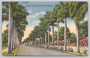 Postcard Stately Avenue Florida - Picture 1 of 2