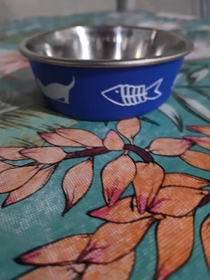 PLATO GATO Foto 1 de 4