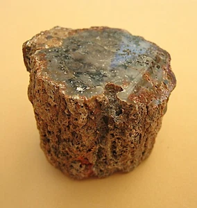 Ceppo in legno pietrificato Madagascar Ø 4,5 cm 89 g un lato è lucido - Foto 1 di 6