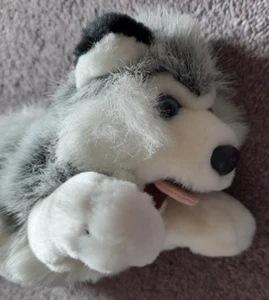 Husky Dog Soft Toy - Picture 1 of 4