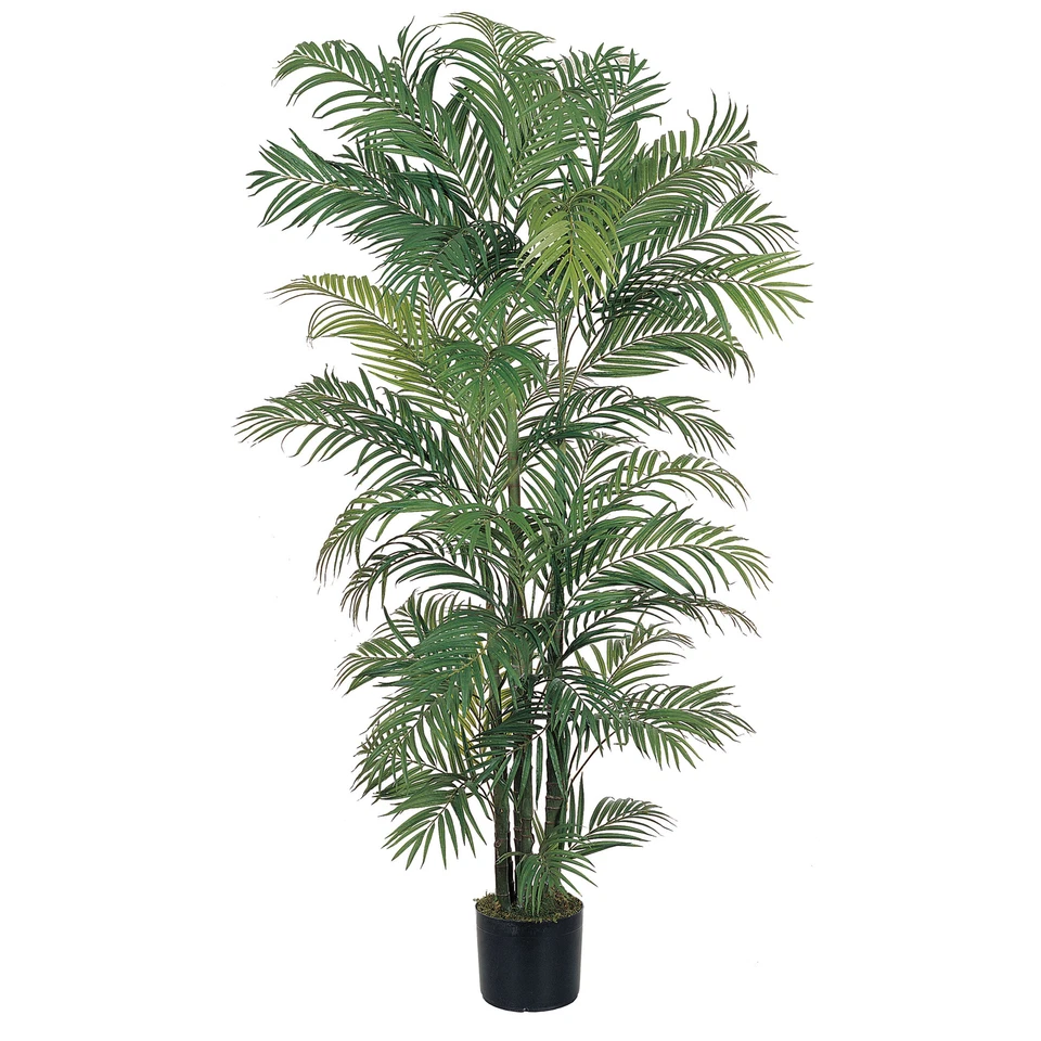 Areca faux Palm Tree Realistic Natural 6ft Decor - Image 1 of 1