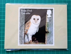 2018 OWLS SET OF 10 PHQ POSTCARDS Mint - Picture 1 of 2
