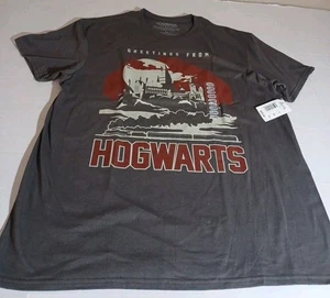 Camiseta para hombre Hogwarts Legacy gris oscuro talla XL 100 % algodón Harry Potter nueva con etiquetas  - Imagen 1 de 6