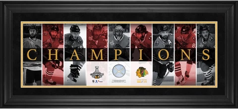 Chicago Blackhawks 2015 Stanley Cup Champs Framed Champs Panoramic & Used Net Cover