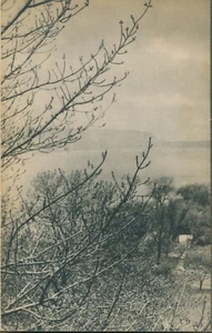 The Cloisters by James J. Rorimer (1951, Paperback) Metropolitan Museum of Art - Picture 1 of 2