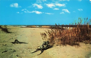 North Carolina's Outer Banks Vintage Postcard - Picture 1 of 2