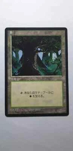 Forest (C) Black-Bordered Japanese Asian MTG 4th Edition - Picture 1 of 1