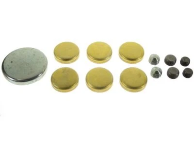 Kit de tapones de expansión para Ford F250 1973-1978 41262BFQR 1974 1975 1976 1977 Foto 1 de 2