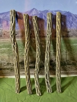 5 - 12" 1/2 to 3/4 Organic Cholla Cactus Wood Perch Aquarium Craft Decoration - Image 1 of 3