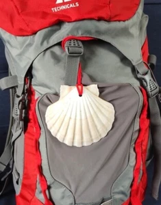 Camino de Santiago Pilgrim Scallop Shell - Pilgrim Rucksack Shell - Picture 1 of 6