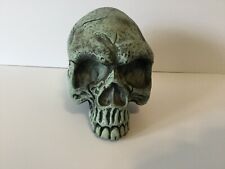 SEASONS Skull Halloween Decoration Glow Prop KK