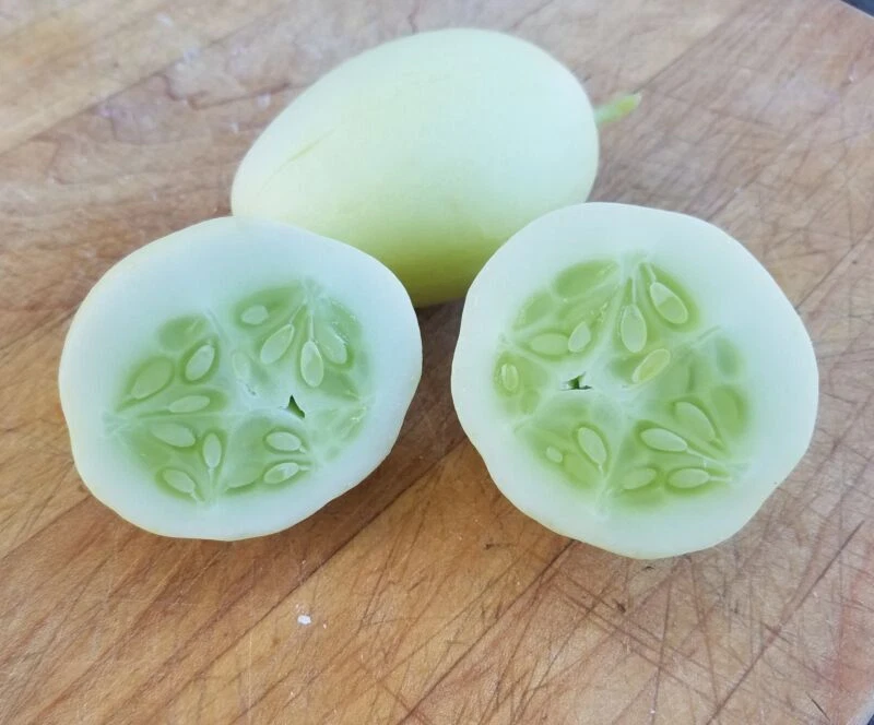 CUCUMBER - DRAGONS EGG - 25 SEEDS - Image 1 of 1