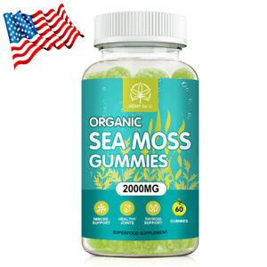 2000mg Organic Sea Moss Gummies - Apple Cider Vinegar,Bladderwrack, Burdock Root