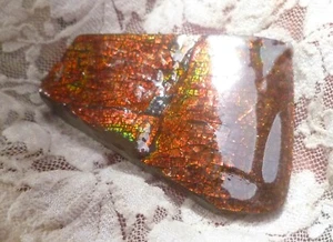 Ammolita escala dragón rojo 62x46mm AMMOLITA ROJA amonita Canadá - Imagen 1 de 4