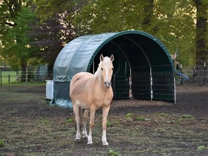 Weidezelt Pferde Weideunterstand Stallzelt PVC Plane Sturmfest Winterfest - Bild 1 von 38