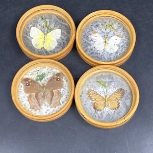 Lote De Colección De 4 Posavasos Retro Prensados Mariposa Bambú Mimbre Decoración - Imagen 1 de 11