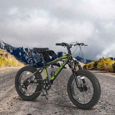 Bicicleta para niños de 20 pulgadas y 7 velocidades, bicicleta de montaña con neumático grueso de 4 pulgadas de ancho para el día del niño Foto 1 de 4