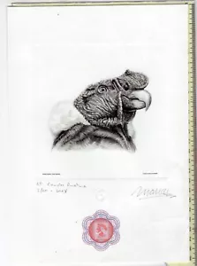 CHILE 2018 EXFIL Condor FDC scarce large size artist proof and small one signed - Picture 1 of 3
