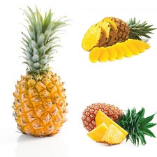 20 Seeds Organic, Non Gmo, Pineapple Seeds Tropical Land, Can Grow Indoors !!