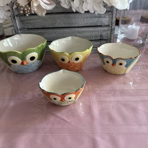 Pier 1 Imports handbemalte Steinzeug verschachtelte Eule Messbecher 4 Stück - Bild 1 von 19