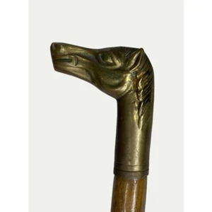 Antique Walking Stick Cane With Brass Horse Head 1900s - Picture 1 of 7