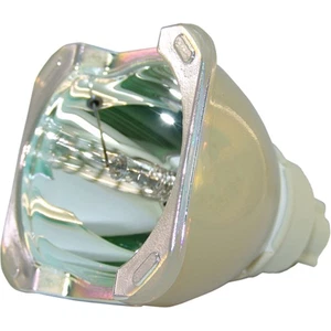 OEM Lamp (Bulb Only) for The Digital Projection Mvision Cine 320 Projector - Picture 1 of 9